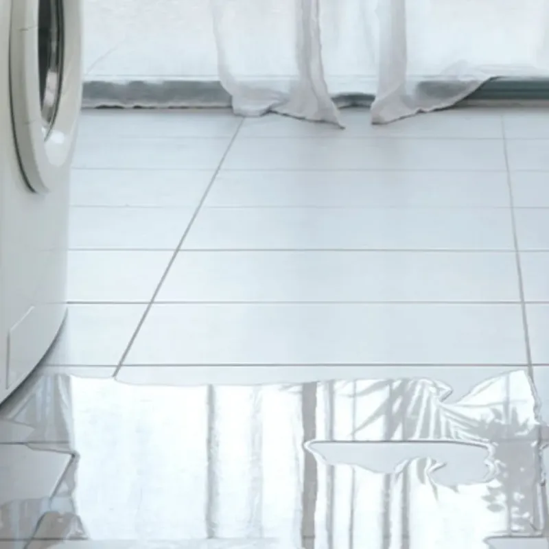 Appliance Leak Cleanup in Dublin, TX