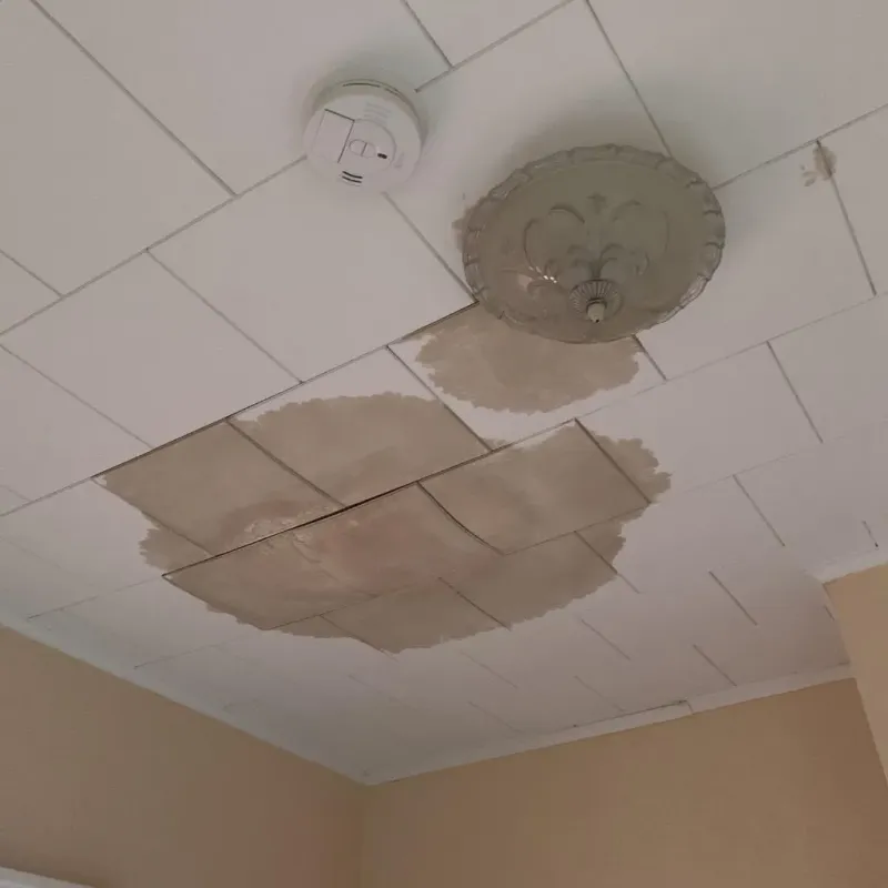 Ceiling Water Damage Repair in Dublin, TX