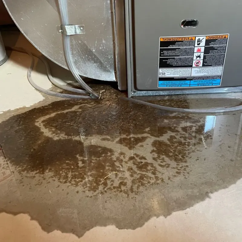 Pipe Burst and Leak Restoration in Dublin, TX