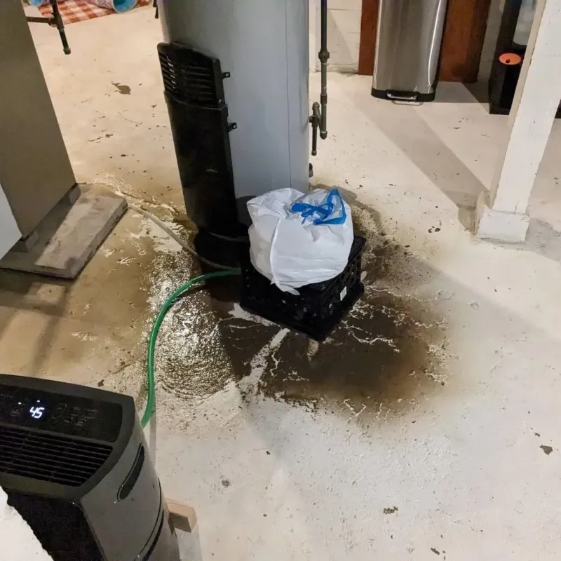 Sewage Backup Cleanup Service in Dublin, TX
